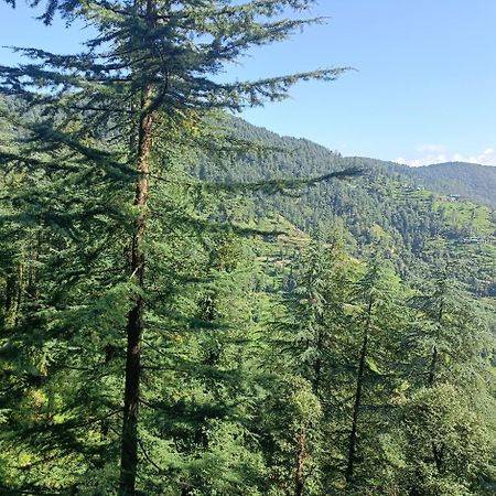 Peace Holiday Homestay Chail Esterno foto