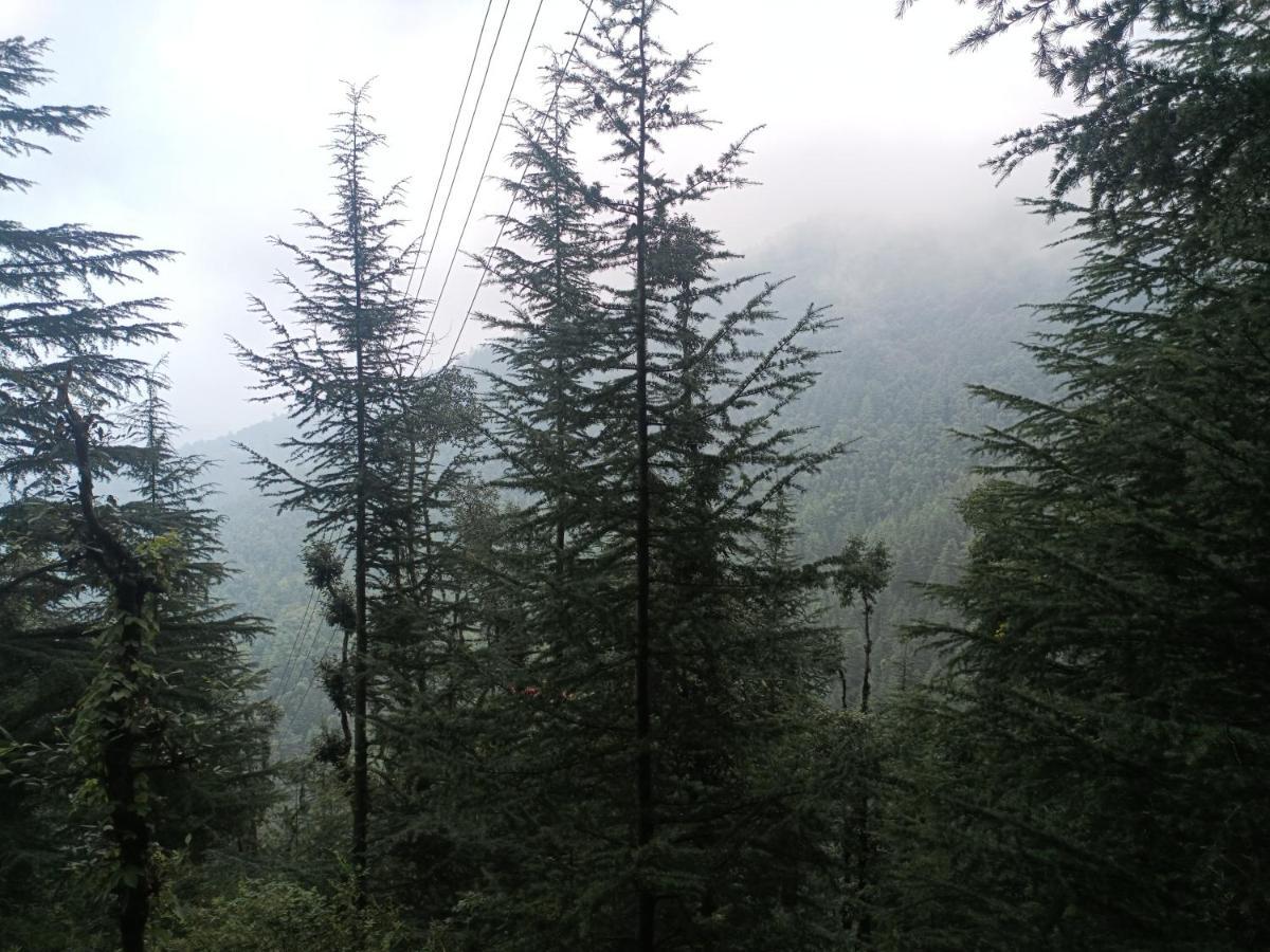 Peace Holiday Homestay Chail Esterno foto
