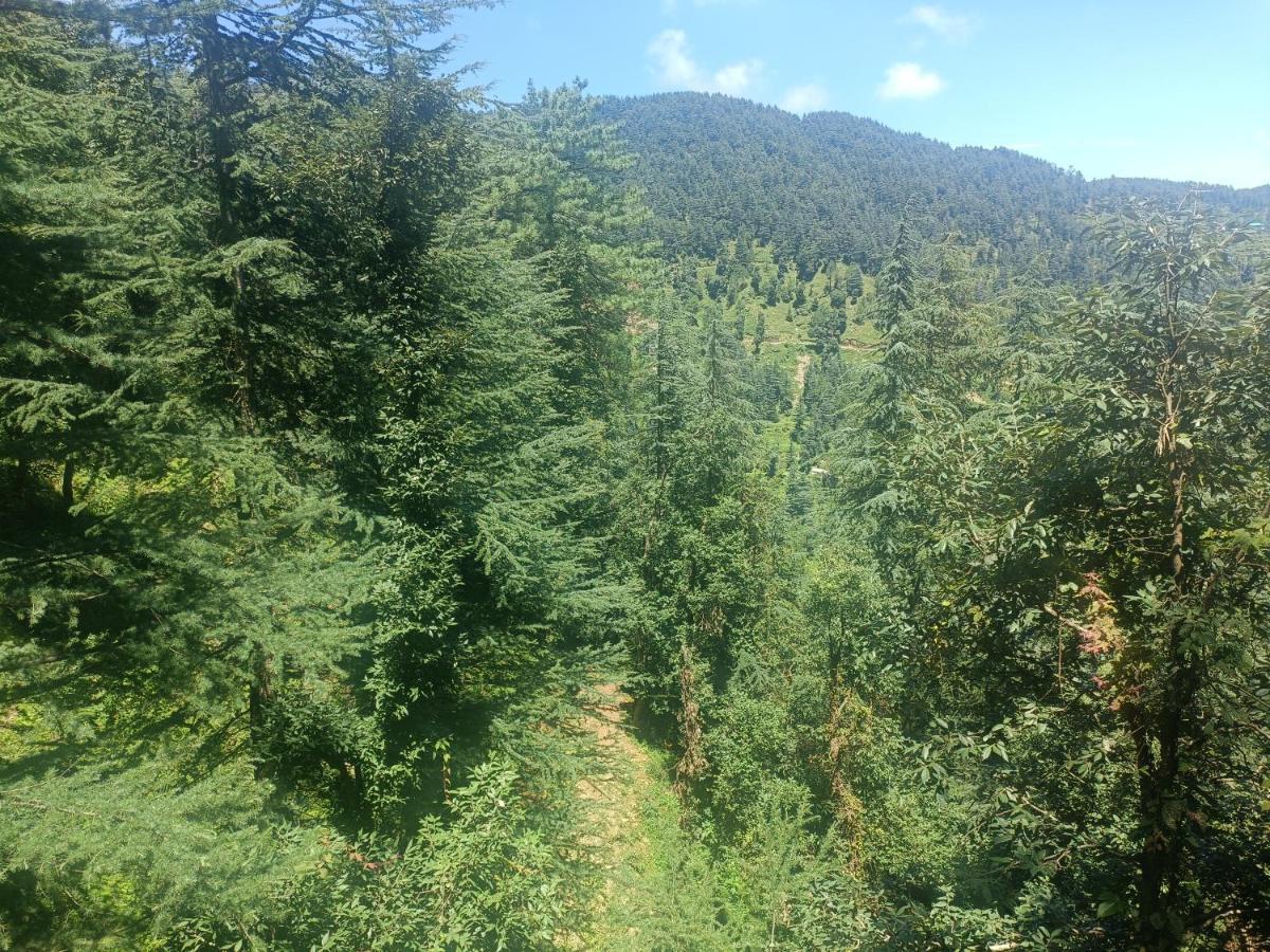 Peace Holiday Homestay Chail Esterno foto