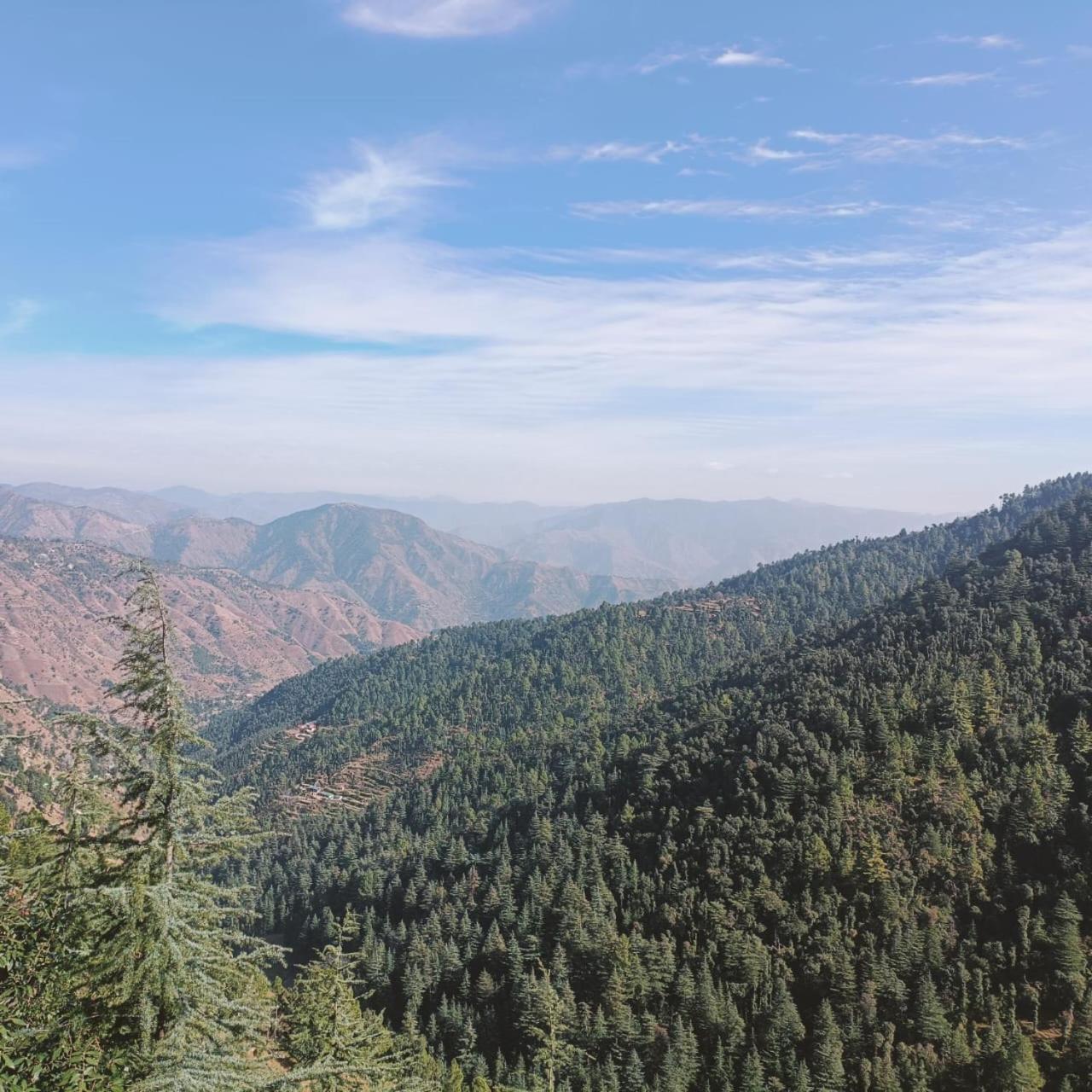 Peace Holiday Homestay Chail Esterno foto