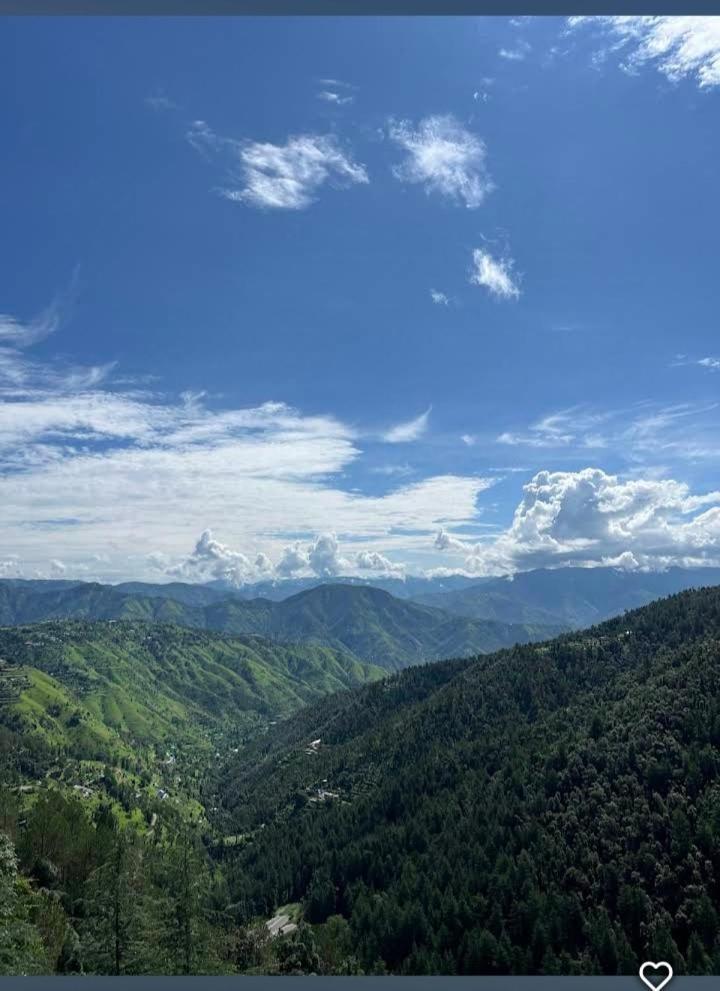 Peace Holiday Homestay Chail Esterno foto